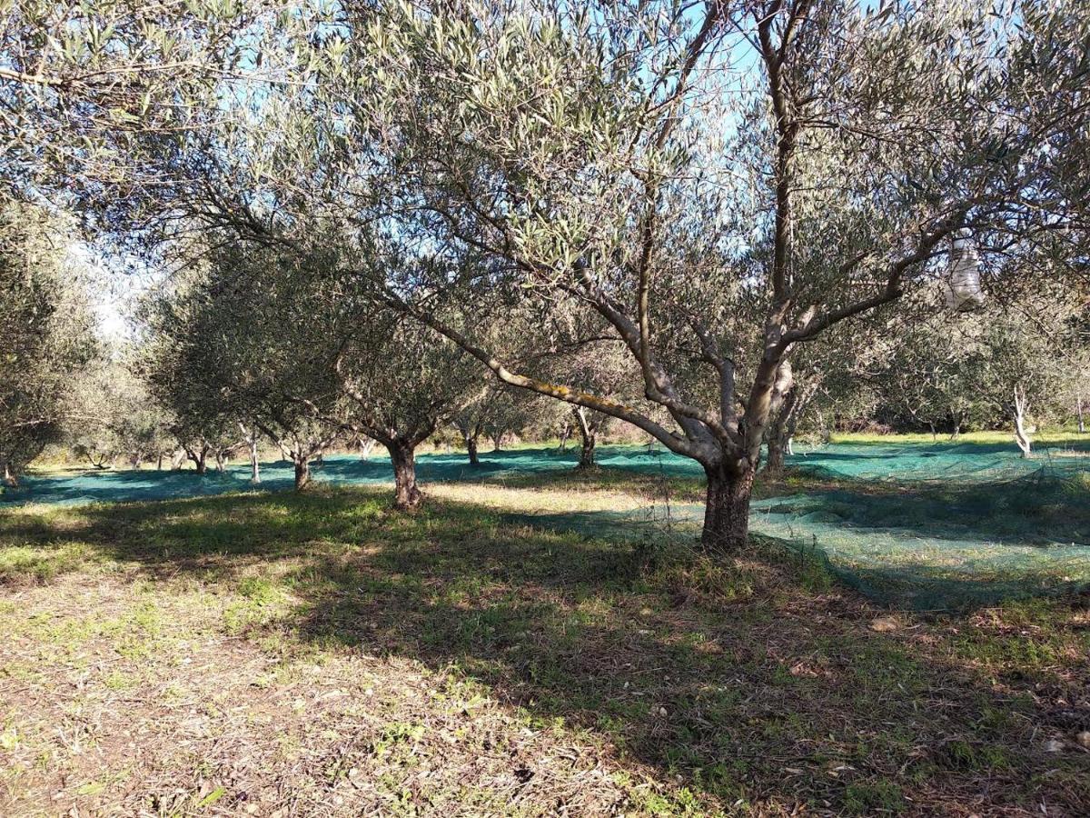 Le Rocher De Sampzon Esterno foto